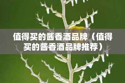 值得买的酱香酒品牌（值得买的酱香酒品牌推荐）