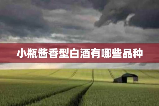 小瓶酱香型白酒有哪些品种