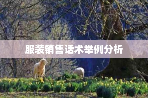 服装销售话术举例分析