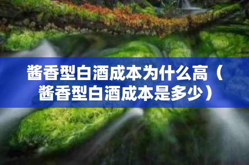 酱香型白酒成本为什么高（酱香型白酒成本是多少）