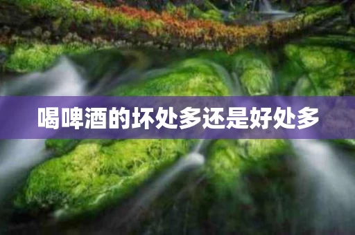 喝啤酒的坏处多还是好处多