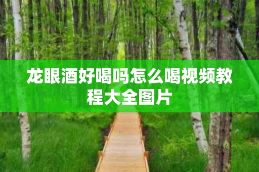 龙眼酒好喝吗怎么喝视频教程大全图片