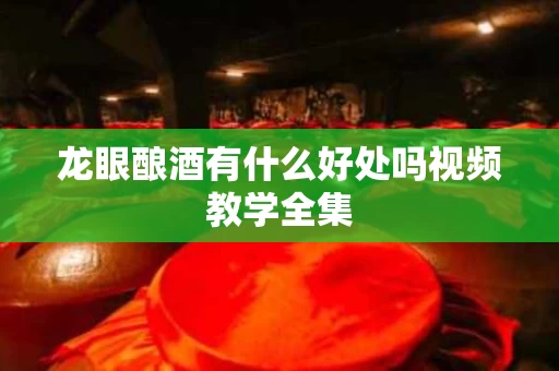 龙眼酿酒有什么好处吗视频教学全集