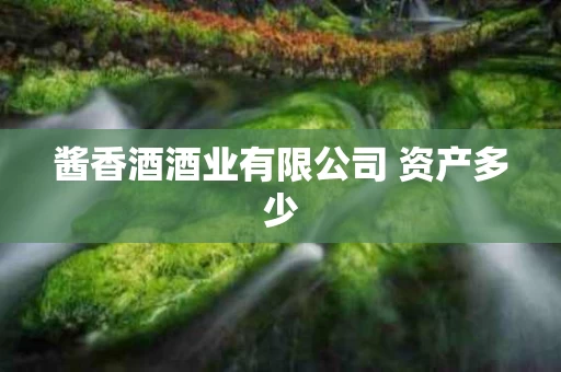 酱香酒酒业有限公司 资产多少