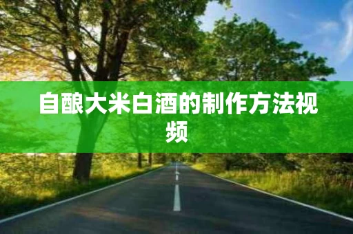 自酿大米白酒的制作方法视频