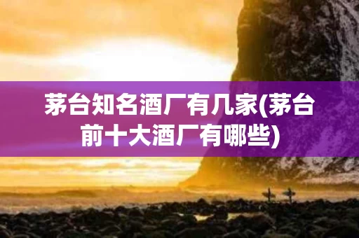 茅台知名酒厂有几家(茅台前十大酒厂有哪些)