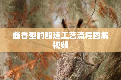 酱香型的酿造工艺流程图解视频