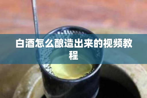 白酒怎么酿造出来的视频教程