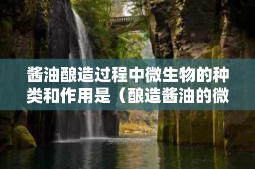 酱油酿造过程中微生物的种类和作用是（酿造酱油的微生物有哪些）