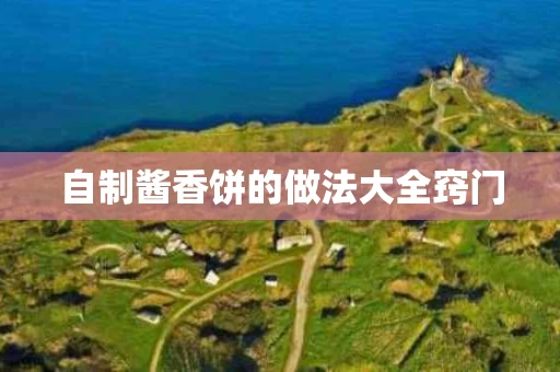 自制酱香饼的做法大全窍门