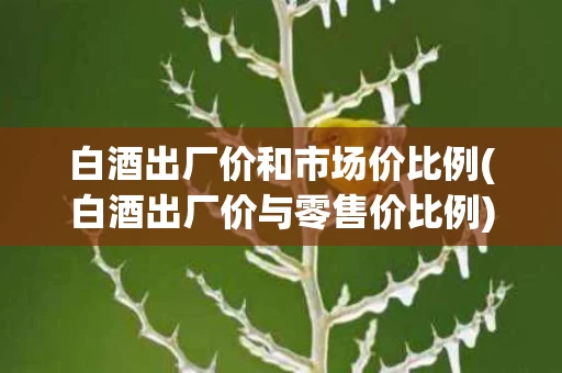 白酒出厂价和市场价比例(白酒出厂价与零售价比例)