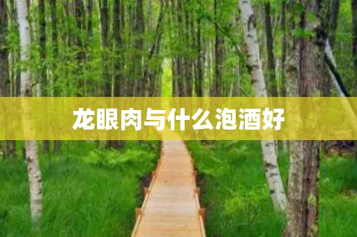 龙眼肉与什么泡酒好