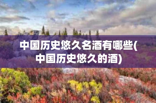 中国历史悠久名酒有哪些(中国历史悠久的酒)