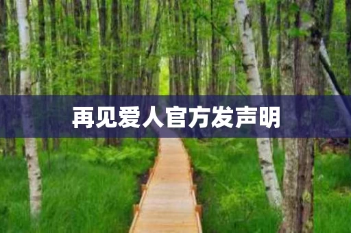 再见爱人官方发声明
