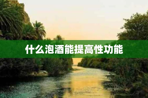 什么泡酒能提高性功能