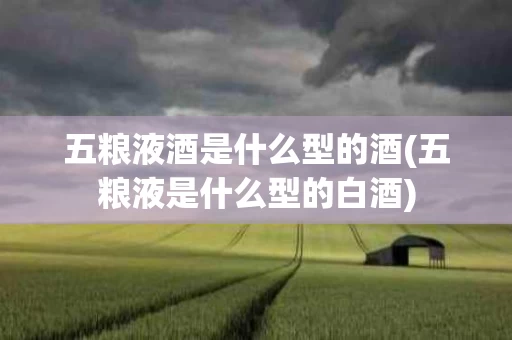 五粮液酒是什么型的酒(五粮液是什么型的白酒)