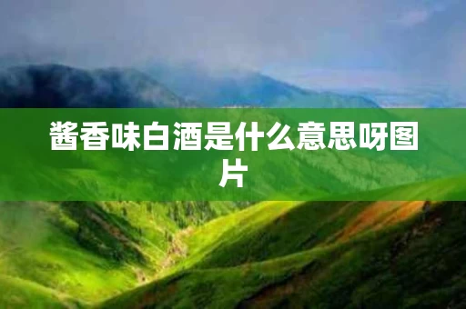 酱香味白酒是什么意思呀图片