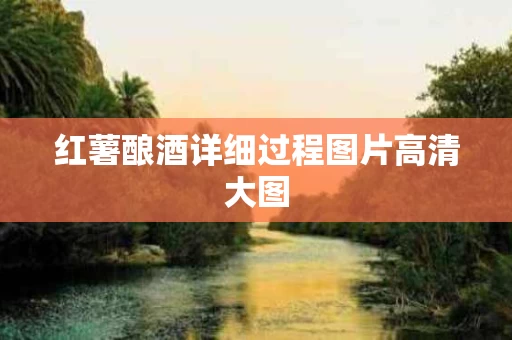 红薯酿酒详细过程图片高清大图