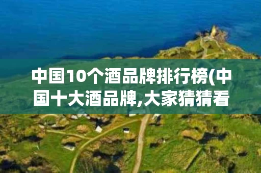 中国10个酒品牌排行榜(中国十大酒品牌,大家猜猜看)