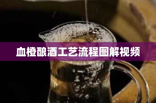 血橙酿酒工艺流程图解视频