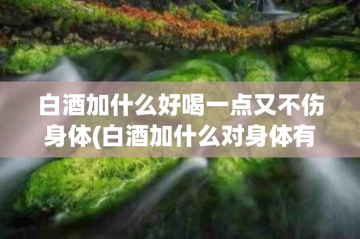 白酒加什么好喝一点又不伤身体(白酒加什么对身体有好处)