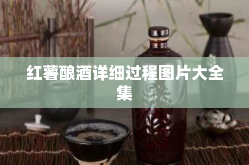 红薯酿酒详细过程图片大全集