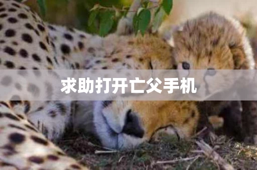 求助打开亡父手机