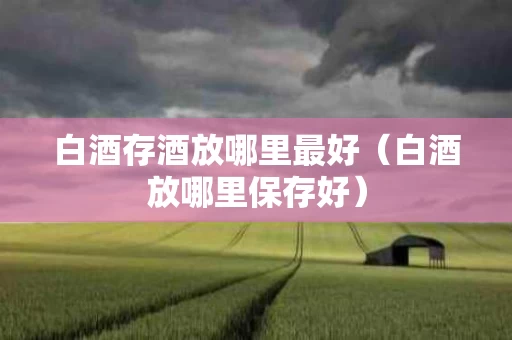 白酒存酒放哪里最好（白酒放哪里保存好）