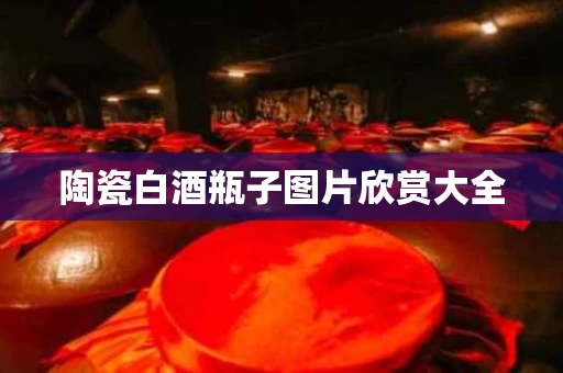 陶瓷白酒瓶子图片欣赏大全