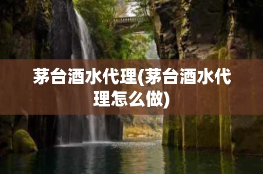 茅台酒水代理(茅台酒水代理怎么做)
