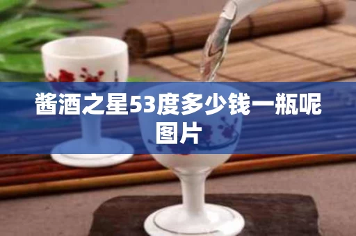 酱酒之星53度多少钱一瓶呢图片