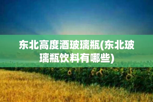 东北高度酒玻璃瓶(东北玻璃瓶饮料有哪些)