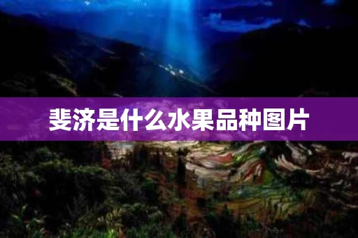 斐济是什么水果品种图片
