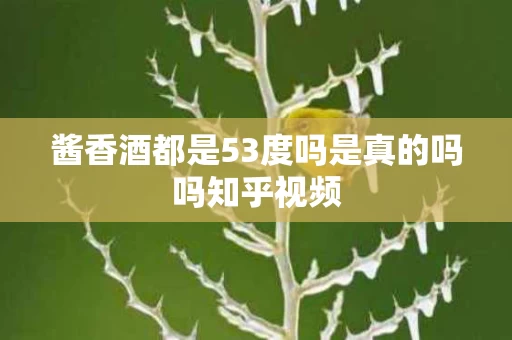 酱香酒都是53度吗是真的吗吗知乎视频