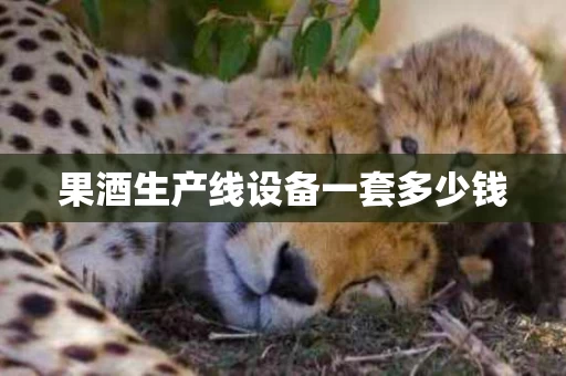 果酒生产线设备一套多少钱