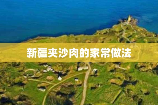 新疆夹沙肉的家常做法