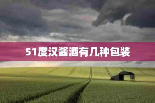 51度汉酱酒有几种包装