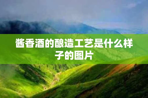 酱香酒的酿造工艺是什么样子的图片