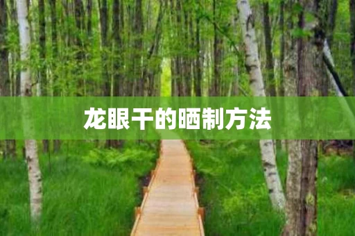 龙眼干的晒制方法