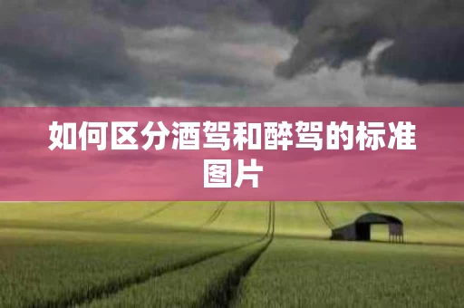 如何区分酒驾和醉驾的标准图片