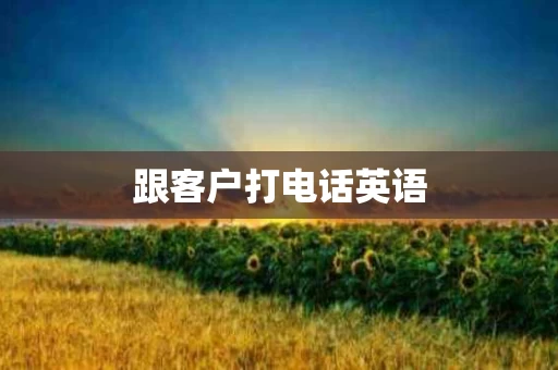 跟客户打电话英语 跟客户打电话英语