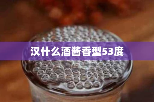 汉什么酒酱香型53度