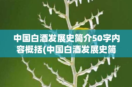 中国白酒发展史简介50字内容概括(中国白酒发展史简介50字内容概括图)
