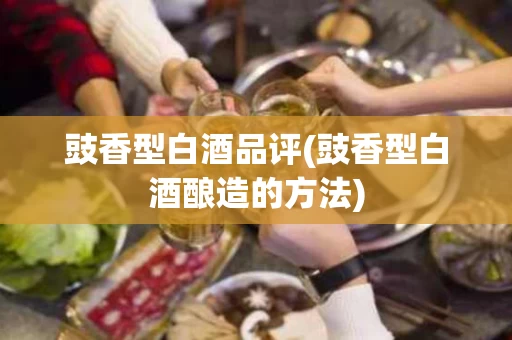 豉香型白酒品评(豉香型白酒酿造的方法)