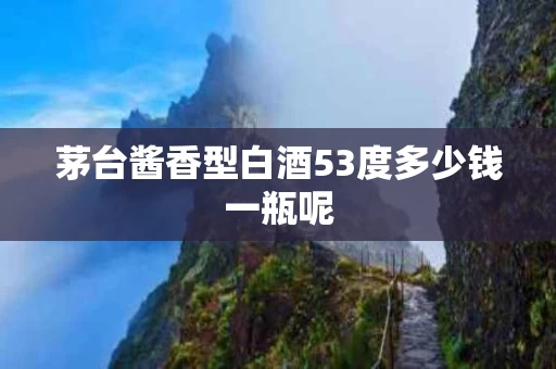 茅台酱香型白酒53度多少钱一瓶呢