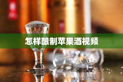 怎样酿制苹果酒视频