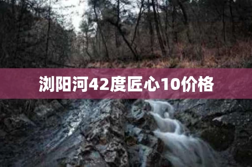 浏阳河42度匠心10价格