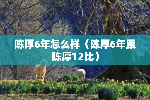 陈厚6年怎么样（陈厚6年跟陈厚12比）