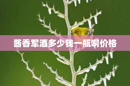 酱香军酒多少钱一瓶啊价格