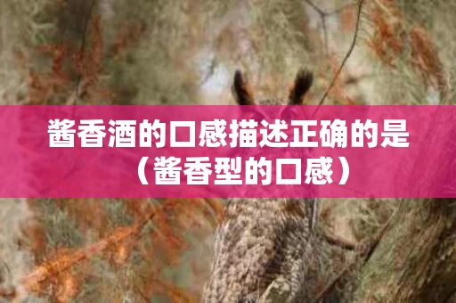 酱香酒的口感描述正确的是（酱香型的口感）